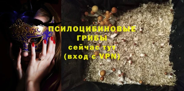 шишки Михайлов