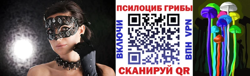 хочу   Поворино  Псилоцибиновые грибы Cubensis 